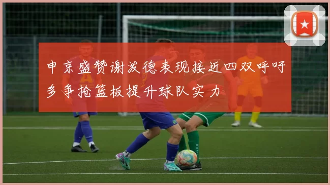 申京盛赞谢泼德表现接近四双呼吁多争抢篮板提升球队实力
