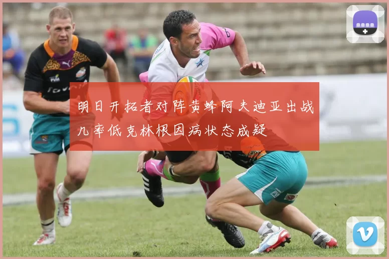 明日开拓者对阵黄蜂阿夫迪亚出战几率低克林根因病状态成疑
